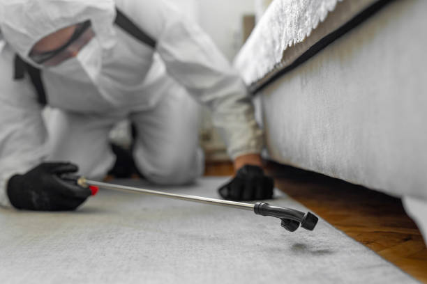 Professional Cockroach Control technician working in Harrah, OK