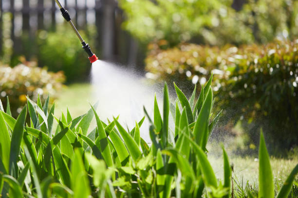 24/7 Emergency Cockroach Control experts in Harrah, OK