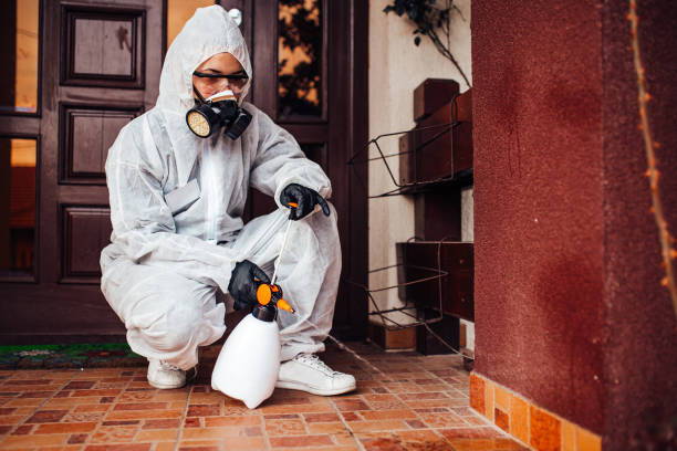 Reliable Cockroach Control contractor in Harrah, OK by Nex Pest Control