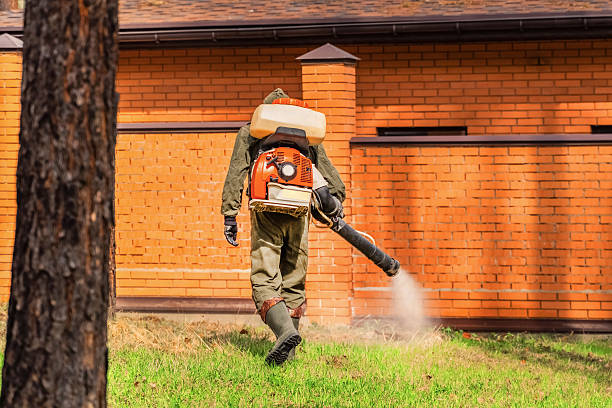 Top rated local Cockroach Control specialists in Harrah, OK